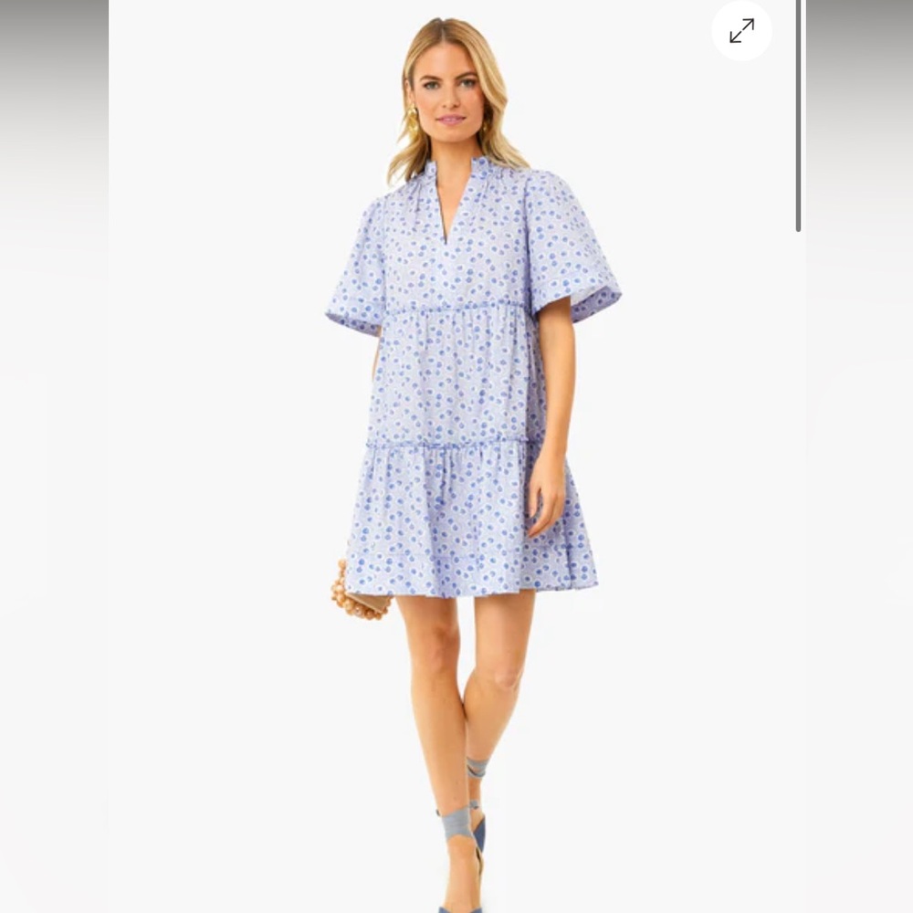 Tuckernuck Crawford Dress - Picture 2 of 11